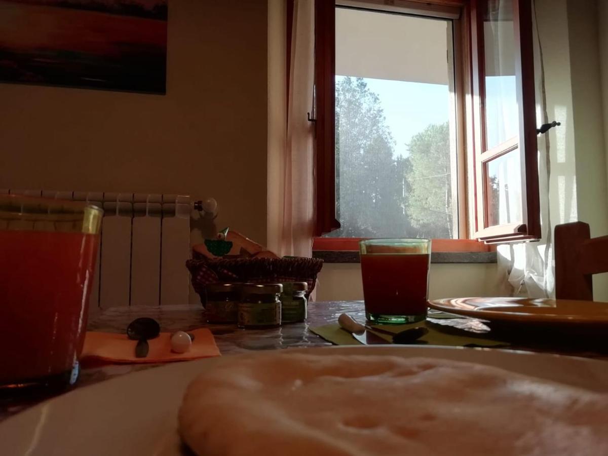 Su Pitiolu - Casa Vacanze Laconi Ngoại thất bức ảnh